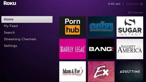 porn for roku|List of Roku Porn Channels & Apps: Best Alternatives in 2024